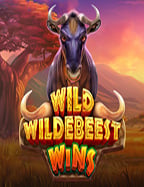 wm casino เครดิต ฟรี ไม่ ต้อง ฝาก สำหรับนักลงทุนหน้าใหม่